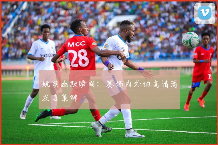 姚明幽默瞬间:赛场内外的高情商发言集锦
